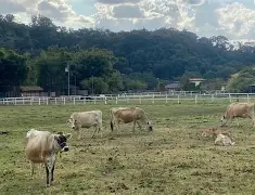 Hotel do Farol Atibaia